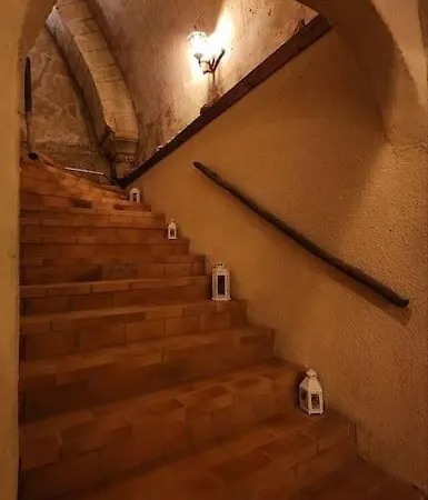 度假居 Chateau De La Voloniere *