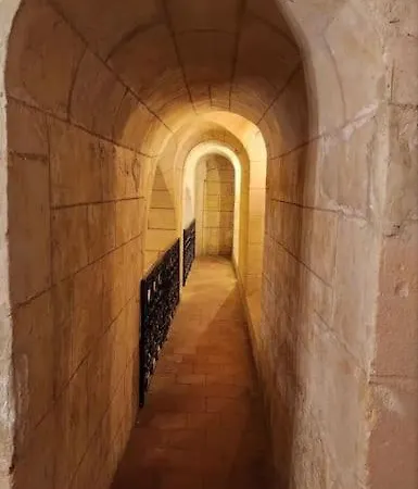 Chateau De La Voloniere Ponce sur Le Loir