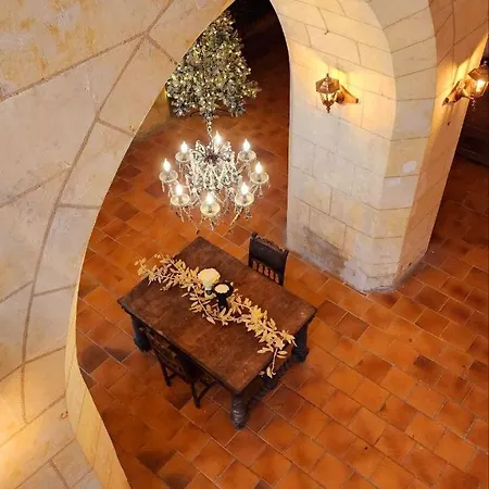 Chateau De La Voloniere 度假居